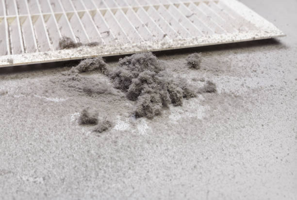 Best Emergency Air Duct Cleaning  in Des Plaines, IL