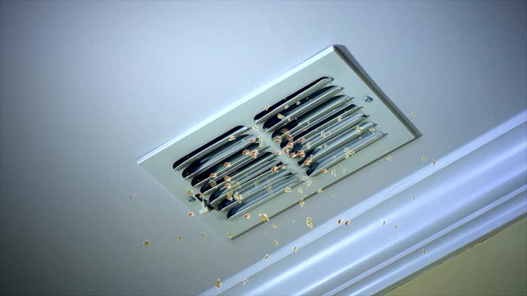 Best Residential Air Duct Cleaning  in Des Plaines, IL