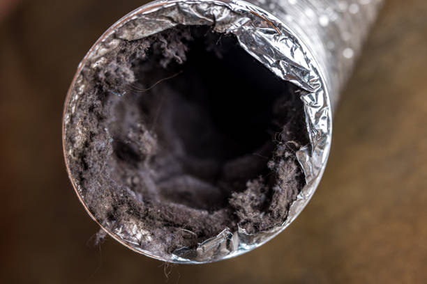 Best HVAC System Cleaning  in Des Plaines, IL
